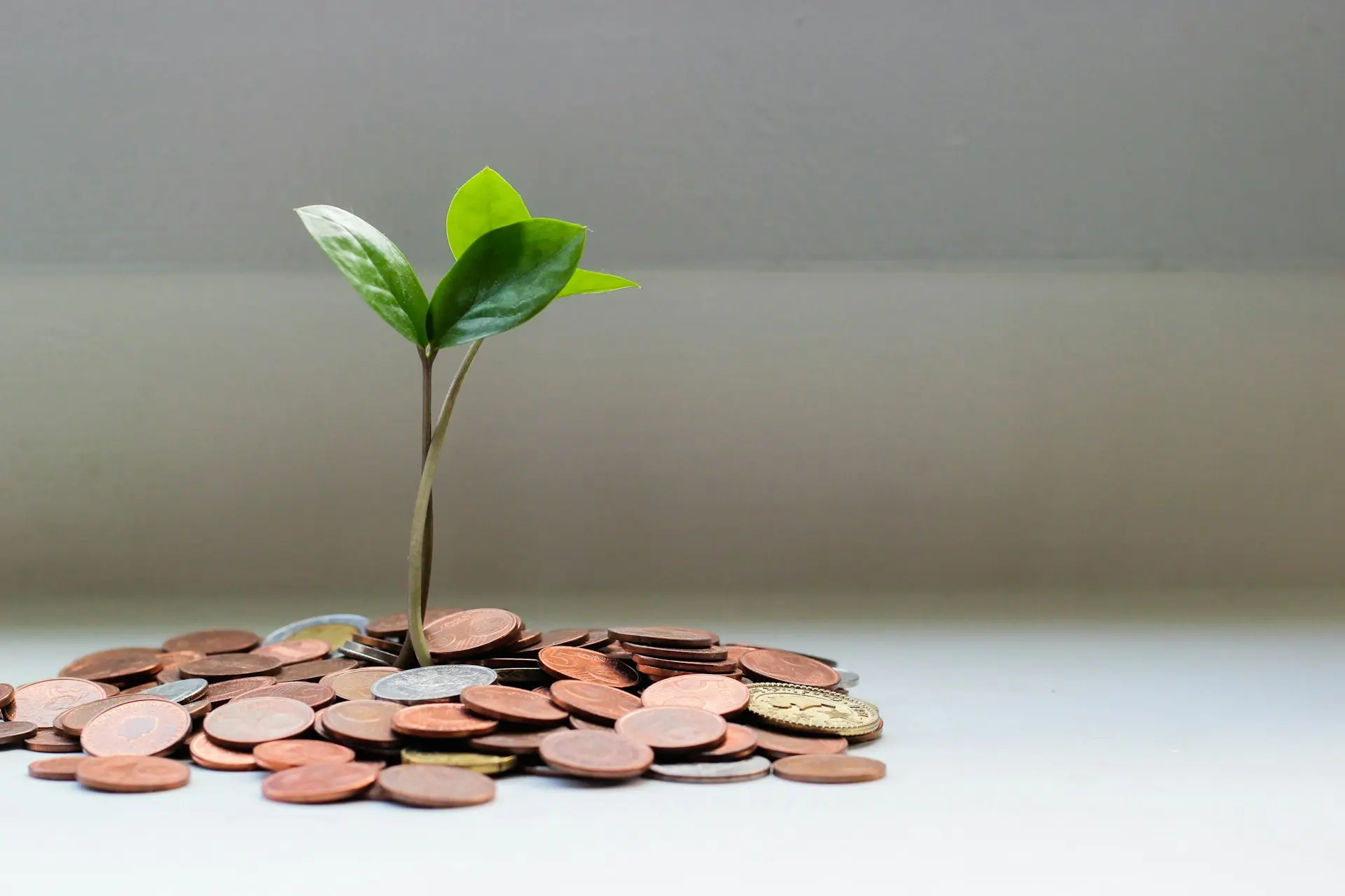 Are My Body Corporate Fees Too High? How to Tell if You're Paying Too Much