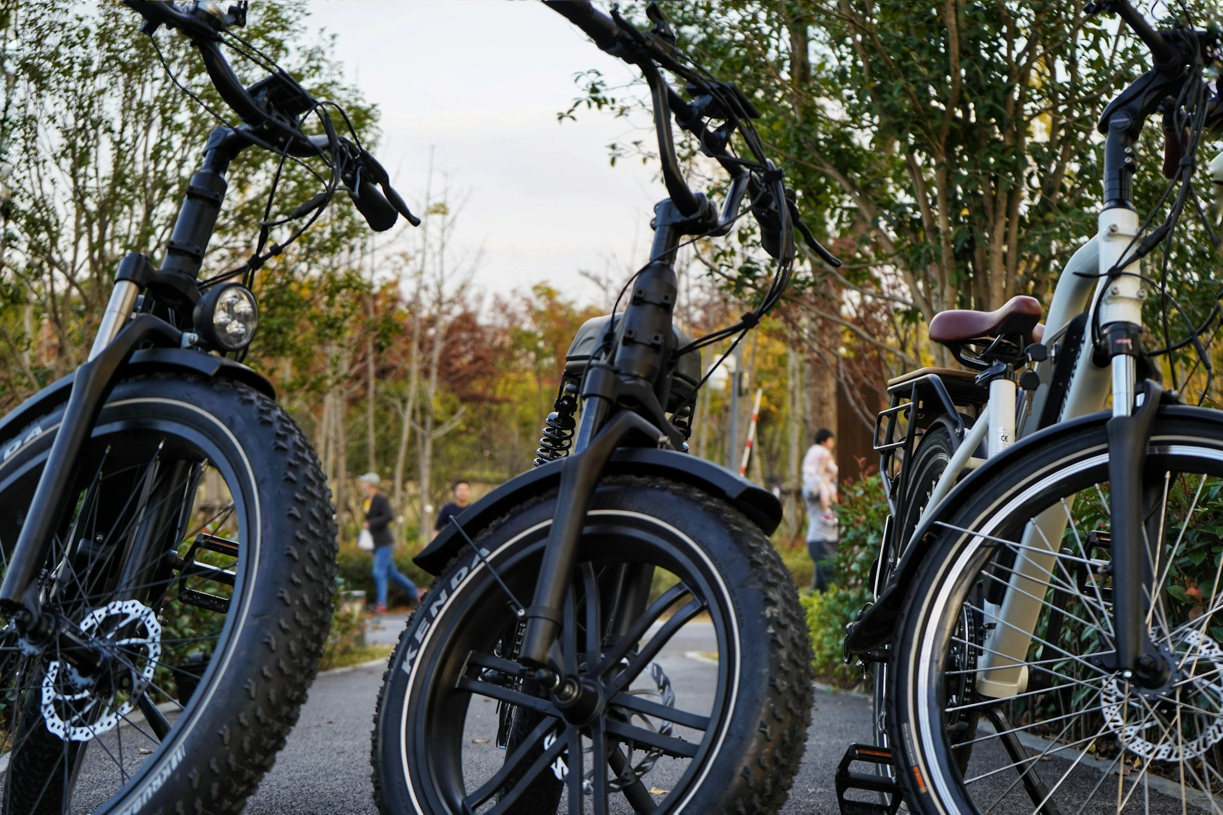 E-Bikes in Apartments: Can Your Body Corporate Ban Them? Battery Fire Rules Explained