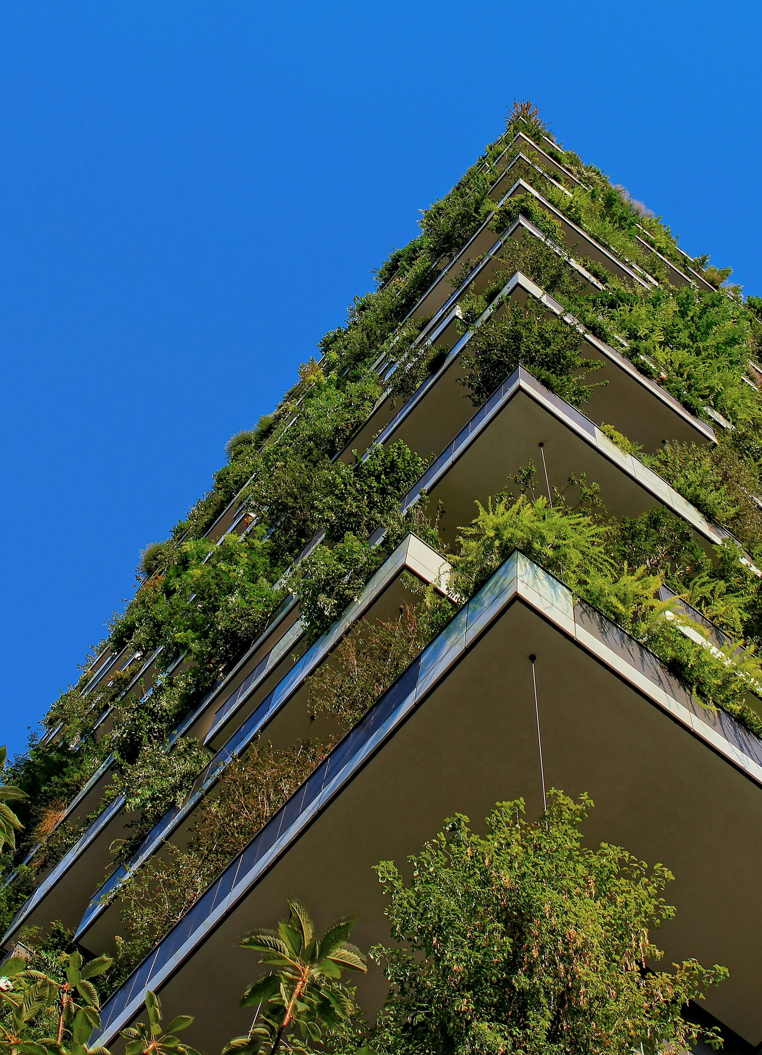 Energy Efficiency Upgrades and Body Corporate Fees: Costs, Savings, and Payback Periods