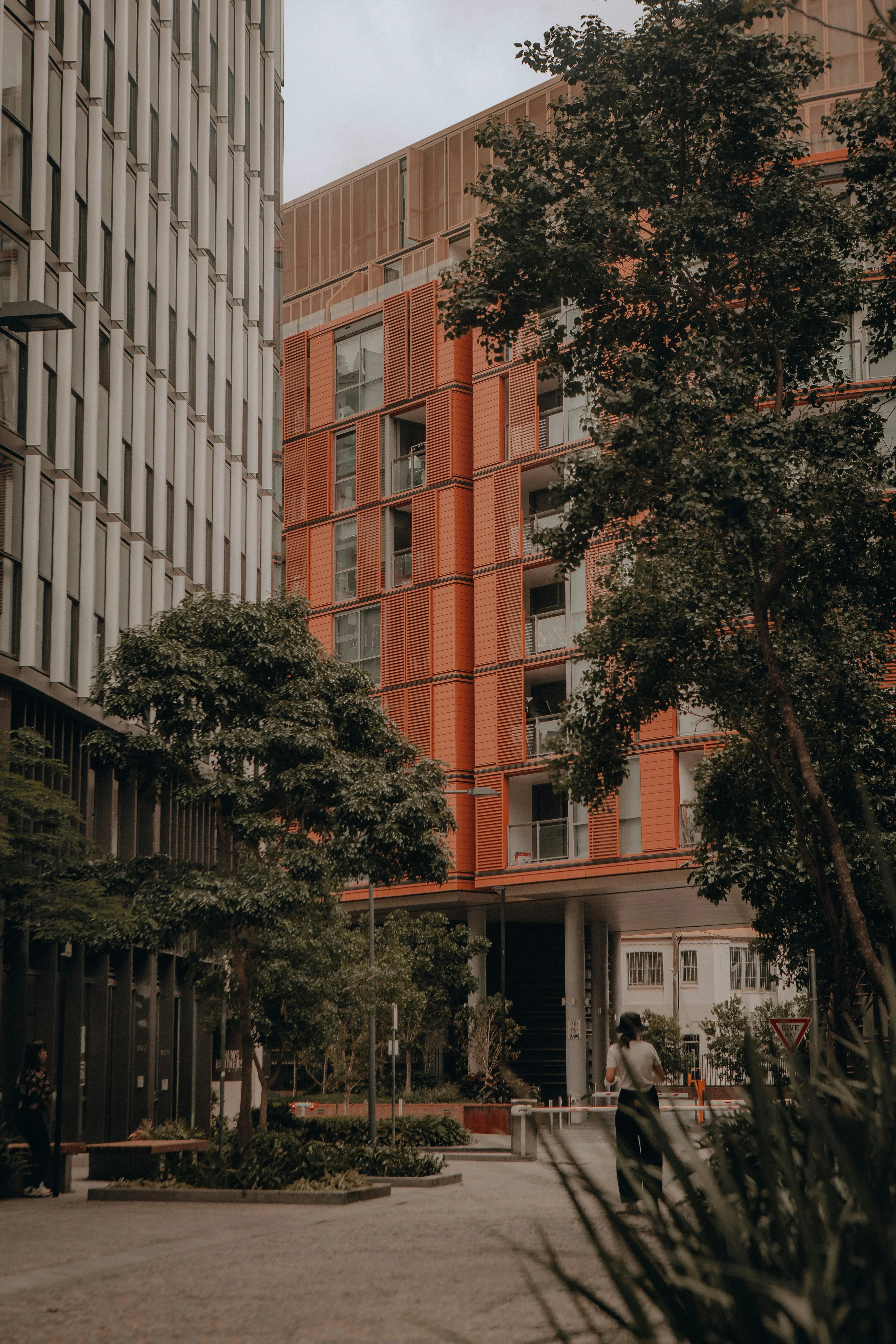 NSW Strata Law Changes 2025-2026: What Every Apartment Owner Needs to Know