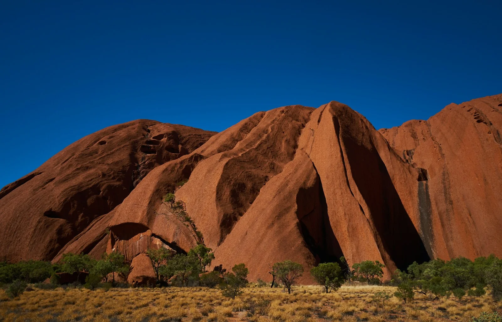 Body Corporate Fees in the Northern Territory: A Complete Guide